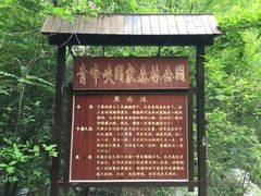 -青峰峡国家森林公园