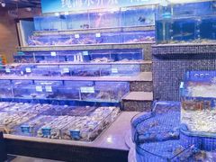 -青蓬蒸汽海鲜·深圳老字号·团建聚会(壹方城店)