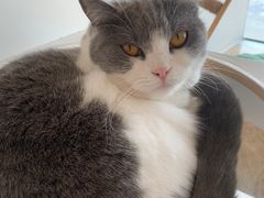 -Catmate·猫肥家润(金润铂宫店)