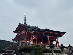 -有栖山 清光院 清水寺