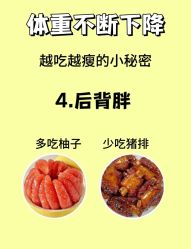 -Fundi张玉珊修身堂·indiba·BTL科技瘦身