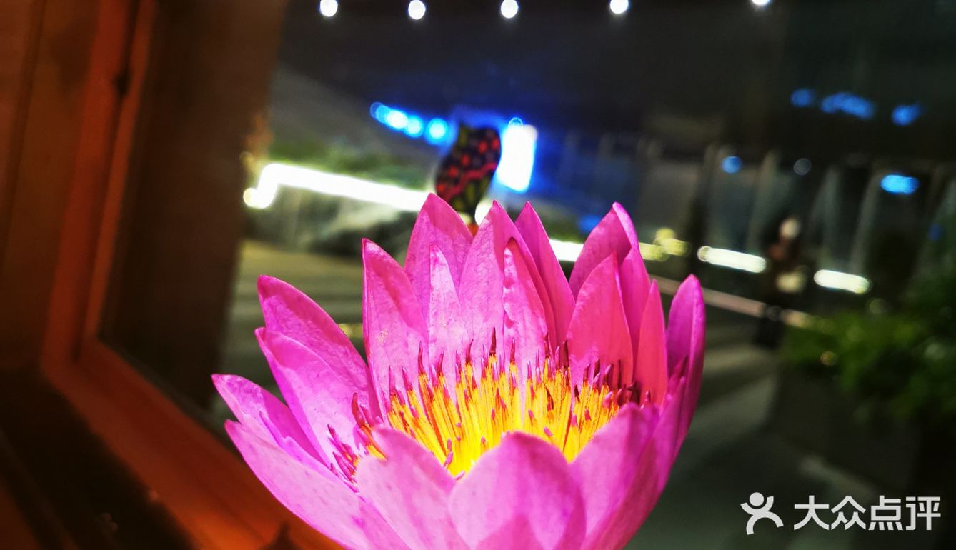 各自选择。「泰香米泰国餐厅(银泰城店)」