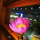 各自选择。「泰香米泰国餐厅(银泰城店)」