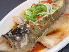 -大班家政月嫂育儿嫂(深圳NO.1店)