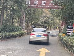 -杭州野生动物世界