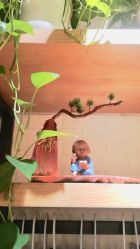 -FineYoga梵音瑜伽·普拉提