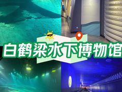 -白鹤梁水下博物馆