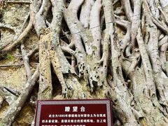 -友谊关景区