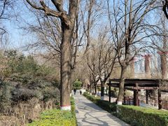 -西安汉城湖景区