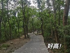-紫金山山顶公园