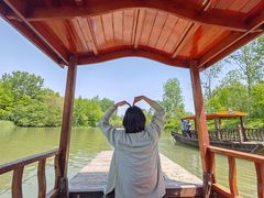 -溱湖国家湿地公园