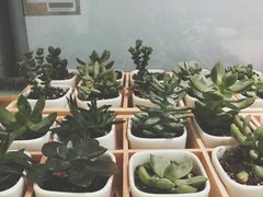 -艾薯夫妇Aysh(福田星河COCOPark店)