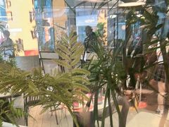 -一沙一城·岩烤牛扒(深圳首店)