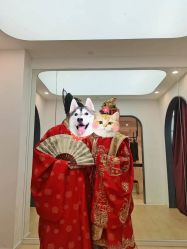 -金夫人婚纱摄影(总店)