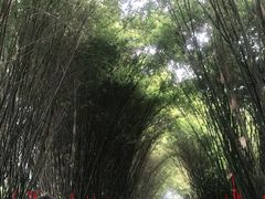-望江楼公园