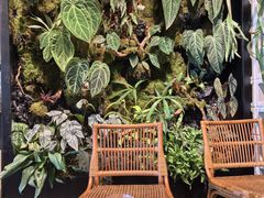 -自由生长植物工作室(深港花卉中心店)