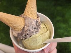 -Vola Gelato意大利手工冰淇淋(朝阳大悦城店)