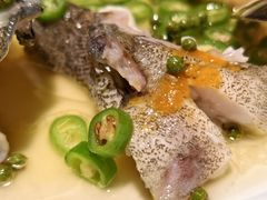 -CHIC1699远洋私厨