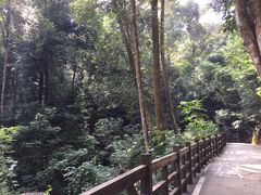 -广州市流溪河国家森林公园