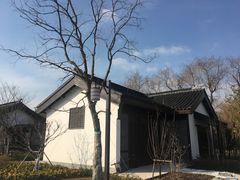 -同里国家湿地公园