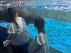 -常州海昌海洋探索馆