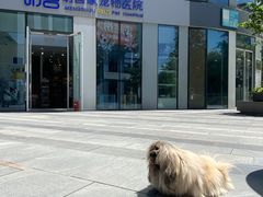 -萌兽医馆·眼科·异宠专科(三里屯店)