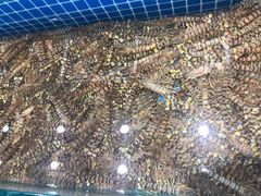 -友鹏海鲜(新宜白大道店)