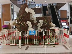 -远洋未来广场(育慧北路店)