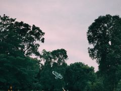 -华南国家植物园-售票处