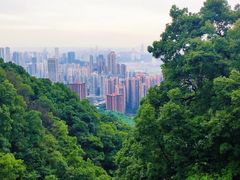 -南山植物园