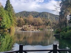 -四明山国家森林公园