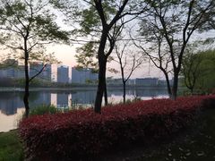 -尚贤河湿地