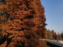 -白塘生态植物园