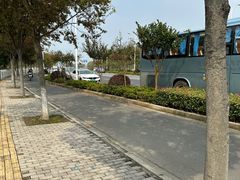 -上海佘山国家森林公园天马山园