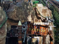 -北京野生动物园