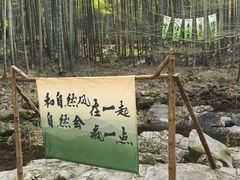 -天乐农家鱼头王(天目湖店)