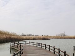 -宁波杭州湾国家湿地公园
