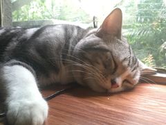 -咖法森林·咖啡  酒吧(天河店)