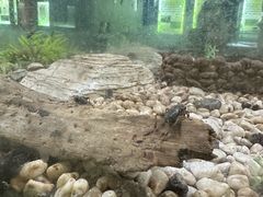 -上海昆虫博物馆