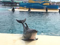 -秦皇岛乐岛海洋王国