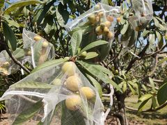 -中国移动南方基地