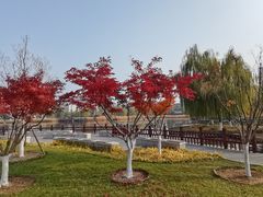 -西海子公园
