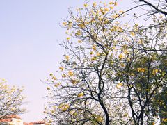 -广州动物园
