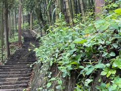 -莫干山风景区
