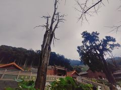 -灵光寺