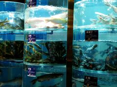 -香坝坝鲜鱼火锅(春熙路店)