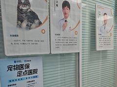 -全心全意连锁动物医院·微创中心·内科急重症·心脏专科(丰管路店)