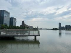 -金沙湖公园