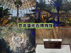 -中国西峡恐龙遗迹园