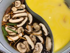-青瓷火锅料理(西单大悦城店)